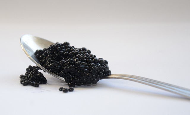 Caviar d’Aquitaine : le secret le mieux gardé de la cuisine française